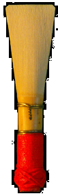 Steinberg Long Bassoon Reed
