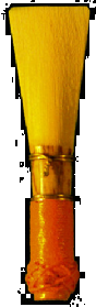 Salzburg Bassoon Reed